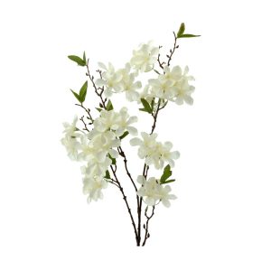 JAZMÍN BLANCO 2323.11